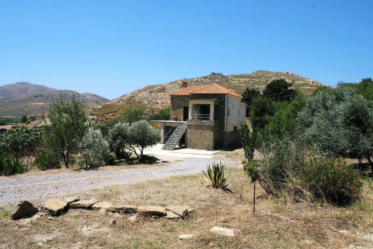 Stone House Of Panos Villa Kornos ภายนอก รูปภาพ