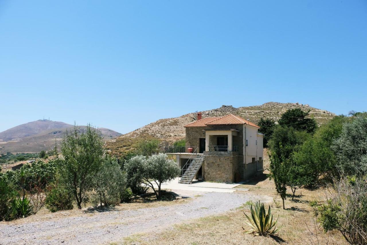Stone House Of Panos Villa Kornos ภายนอก รูปภาพ