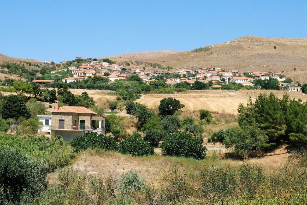 Stone House Of Panos Villa Kornos ภายนอก รูปภาพ